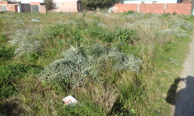 Femicidio: la estrangularon y prendieron fuego el cuerpo