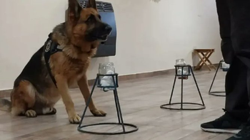 el gobierno nacional aprobo un inedito banco de olores: como funcionara esta base de datos el gobierno nacional aprobo un inedito banco de olores: como funcionara esta base de datos