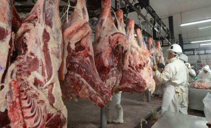 La inflación, la suba de precios y la carga fiscal explican la caída del consumo, que pasó de 49,5 a 44,5 kilos por persona. La inflación, la suba de precios y la carga fiscal explican la caída del consumo, que pasó de 49,5 a 44,5 kilos por persona.