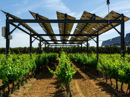 Los paneles solares, un aporte a la produccion de vinos. Los paneles solares, un aporte a la produccion de vinos.