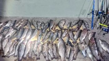 Sorprendieron a pescadores furtivos en Neuquén