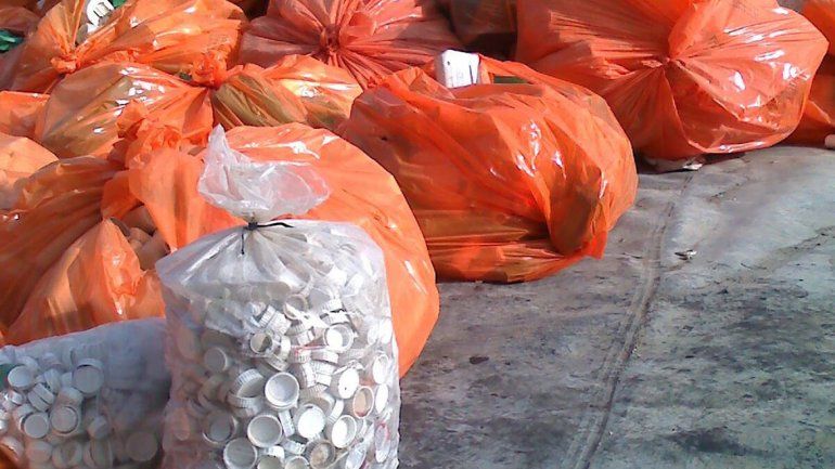 Recolectarán envases vacíos de productos agroquímicos