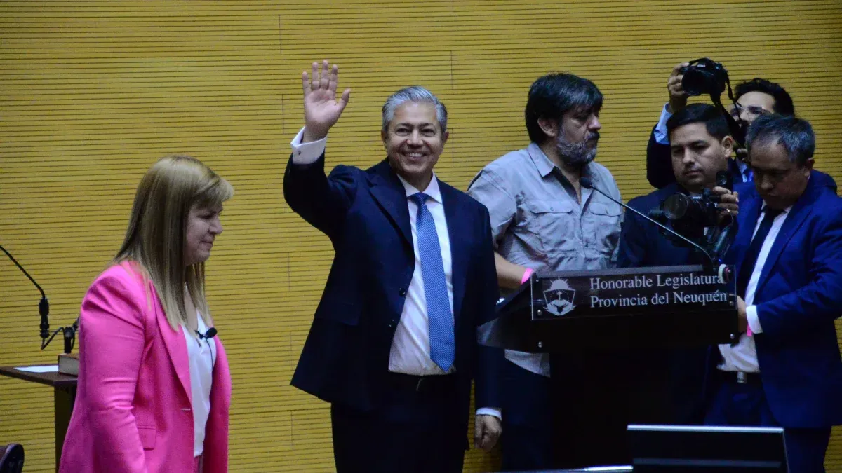 Qué Dice El Proyecto De Rolando Figueroa Que Busca Terminar Con Las ...