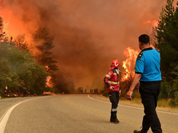 Cientos de brigadistas trabajan para contener las llamas en la cordillera / Foto Gentileza Cientos de brigadistas trabajan para contener las llamas en la cordillera / Foto Gentileza