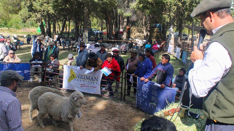 Todos contentos con la muestra de tranqueras abiertas