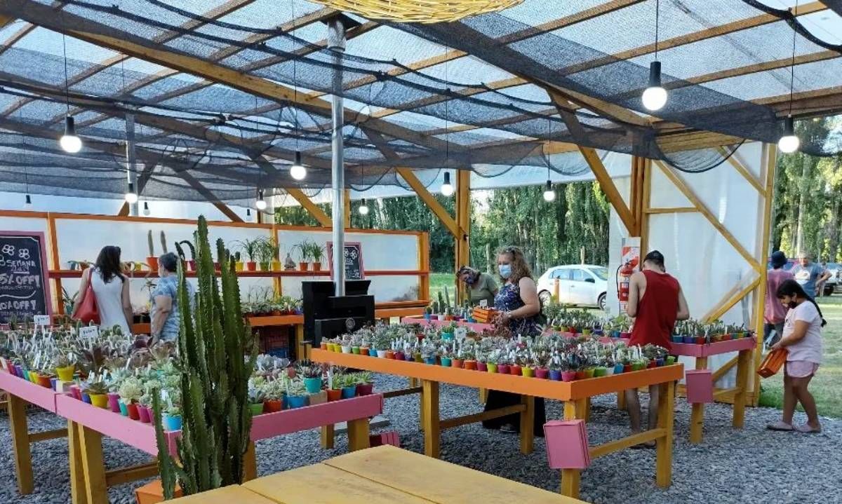 Cómo cuidar las plantas durante los meses de frío