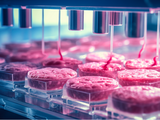 Las hamburguesas de carne sintética están cada vez más cerca.