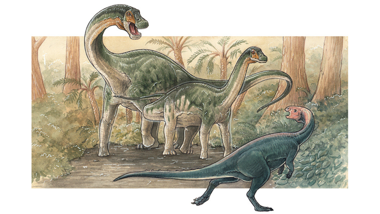 El CONICET descubrió una nueva especie de dinosaurio en Neuquén.