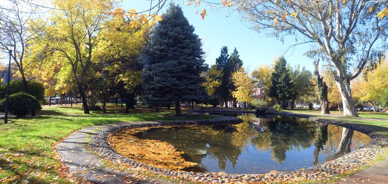Desde el drone de LMN, cómo luce el Limay y su costa en otoño