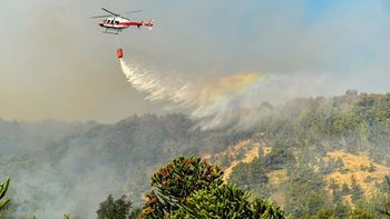 Prorrogaron la Emergencia Ígnea por un año en Neuquén Prorrogaron la Emergencia Ígnea por un año en Neuquén