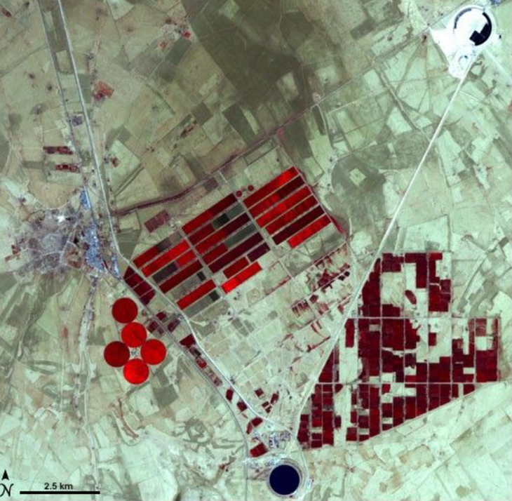Círculos de vida: El riego por pivote crea oasis artificiales visibles desde el espacio exterior. Círculos de vida: El riego por pivote crea oasis artificiales visibles desde el espacio exterior.