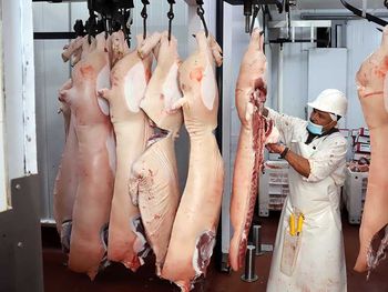 La mayor empresa de alimentos de España adquirió participación en el ecosistema porcino de Grupo Pacuca y busca expandir el negocio exportador desde Argentina.