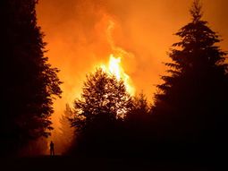 asistencia a los productores afectados por el incendio asistencia a los productores afectados por el incendio