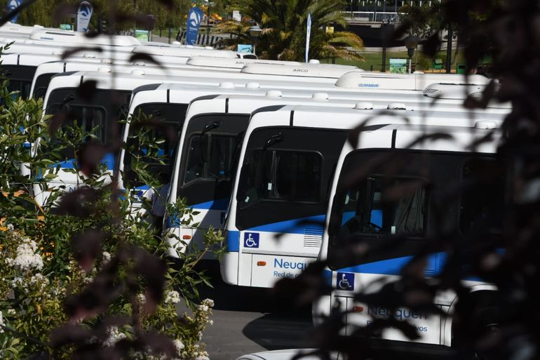 El video viral de un chofer ante el nuevo servicio de colectivos en Neuquén