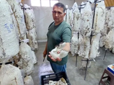 De chofer de ambulancia a productor en San Patricio del Chañar