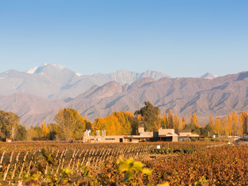 Finca Victoria - Durigutti Family Winemakers, la destacada de nuestro país.