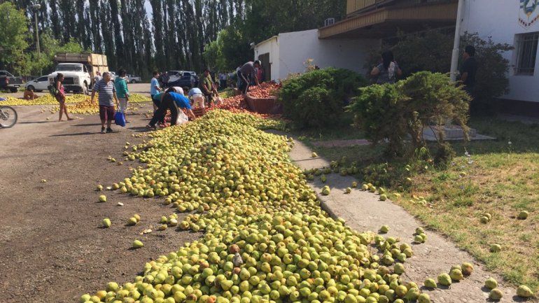Los productores volvieron a tirar peras y manzanas en Allen