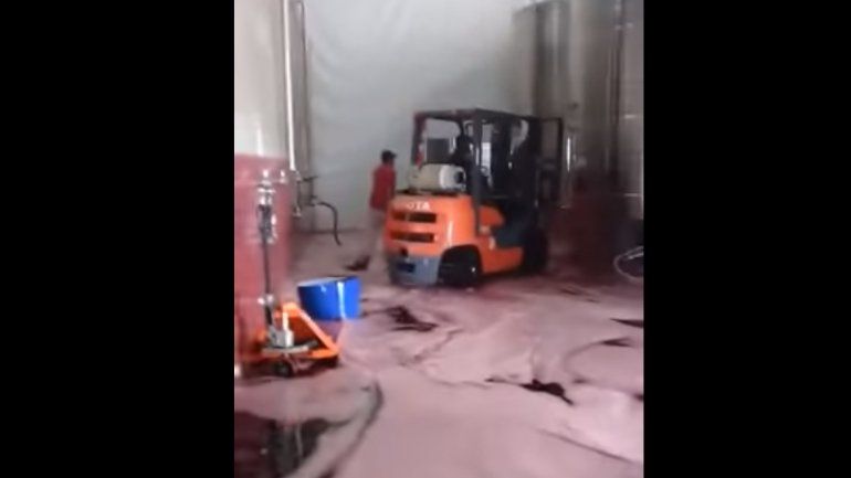 Hizo un mal cálculo y derramó miles de litros de vino
