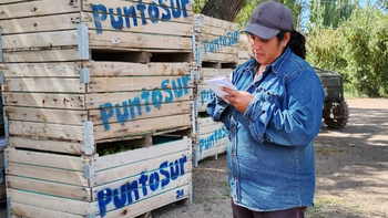 Yanina Gutiérrez: de cosechadora a liderar un equipo de 60 personas en Lamarque. | LM Neuquen Yanina Gutiérrez: de cosechadora a liderar un equipo de 60 personas en Lamarque.