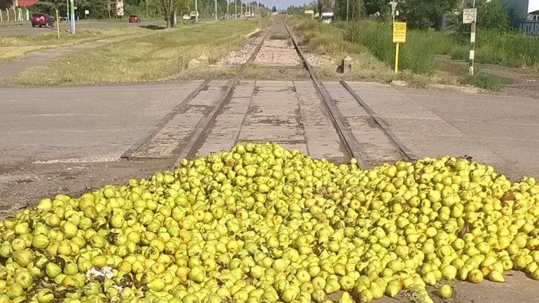 Productores de Oro tiraron 60 mil kilos de pera sobre las vías