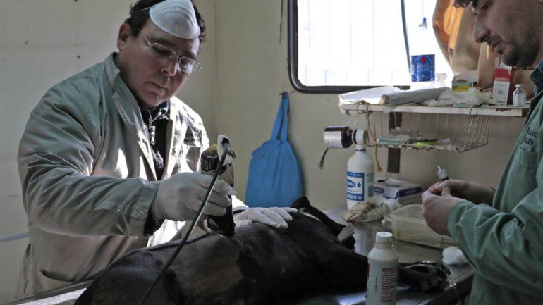 En Valentina Sur el quirófano móvil funcionará una semana más.