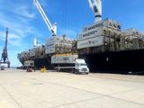 En 2024 se observó una leve recuperación de las exportaciones frutícolas.