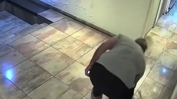 El perro fue atacado dentro de un edificio y el video registrado por cámaras permitió avanzar con la denuncia penal. El perro fue atacado dentro de un edificio y el video registrado por cámaras permitió avanzar con la denuncia penal.