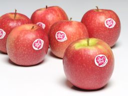 Pink Lady sigue liderando las ventas de manzana en Europa, como un producto premium. Pink Lady sigue liderando las ventas de manzana en Europa, como un producto premium.