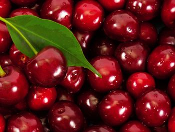 La guerra de aranceles compica a los exportadores de cerezas de EE.UU. que destinan su oferta a China.