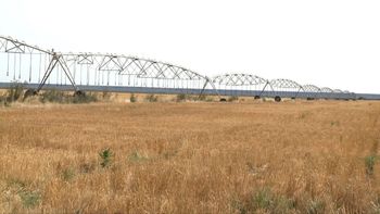 Hay un reactor nuclear en los campos del norte de la Patagonia | LM Neuquen Hay un reactor nuclear en los campos del norte de la Patagonia