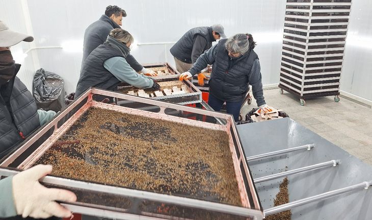 Los técnicos de FUNBAPA llevarán adelante la gestión de control de la plaga. Los técnicos de FUNBAPA llevarán adelante la gestión de control de la plaga.