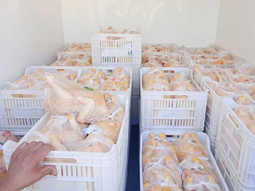 Los productores de Ramón Castro, Paso Aguerre y El Sauce vuelven a la capital neuquina con sus pollos parrilleros de chacra. Los productores de Ramón Castro, Paso Aguerre y El Sauce vuelven a la capital neuquina con sus pollos parrilleros de chacra.