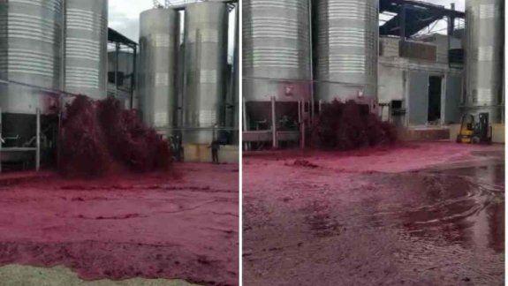 Viral: se rompió un tanque y derramó 50 mil litros de vino