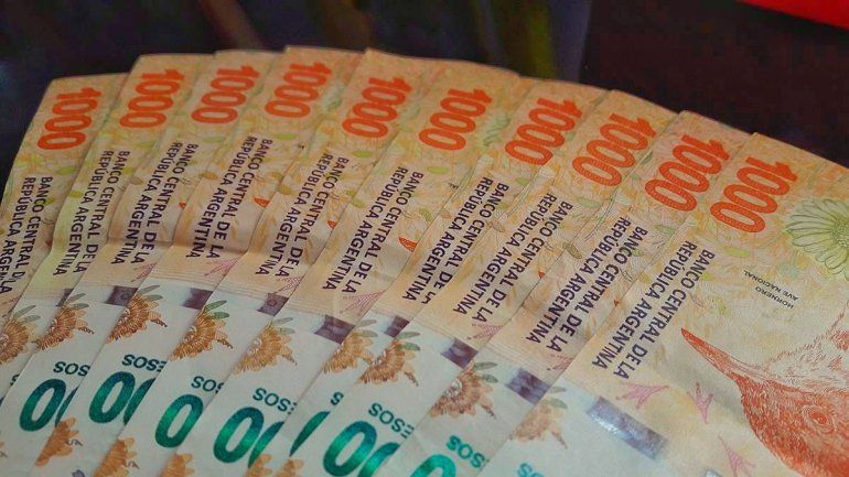 IFE 4: La explicación dada por la titular de la Anses