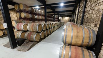 Bodegas del Alto Valle en Río Negro: 44.237 hl totales resaltan el énfasis en Merlot y Semillón, con fuerte presencia de terceros en genéricos. | LM Neuquen Bodegas del Alto Valle en Río Negro: 44.237 hl totales resaltan el énfasis en Merlot y Semillón, con fuerte presencia de terceros en genéricos.