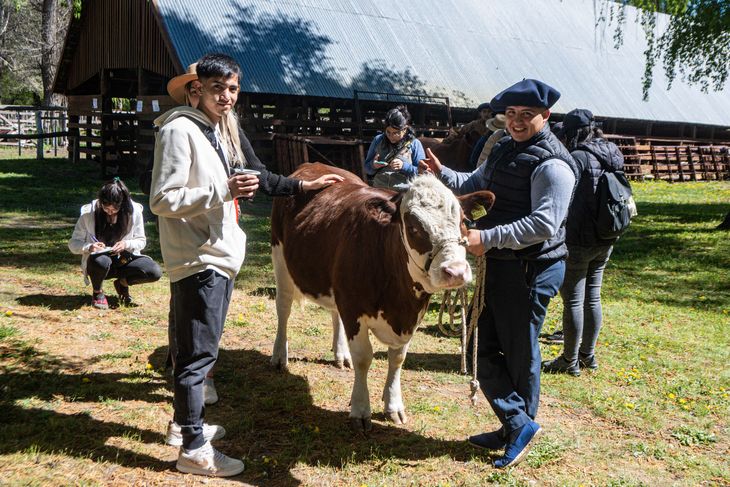 El Concurso Tromen, otro punto fuerte de la exposición. Foto: gentileza SRN El Concurso Tromen, otro punto fuerte de la exposición. Foto: gentileza SRN