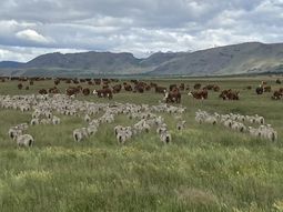 barrera sanitaria: vamos por una prorroga de la prorroga...la patagonia resiste barrera sanitaria: vamos por una prorroga de la prorroga...la patagonia resiste
