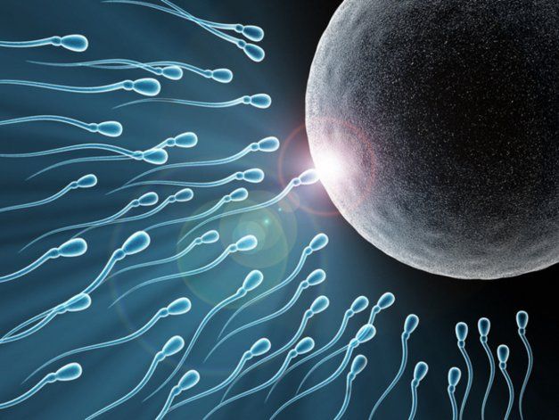Nació el primer bebé concebido con un método de fertilidad desarrollado por científicos argentinos