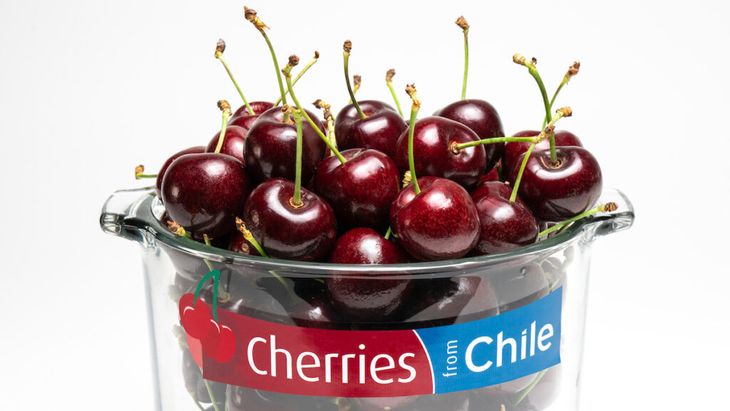 La destrucción de estos 1.300 contenedores de cerezas, podría llegar a afectar la excelente imagen que tiene la fruta chilena en el exterior. La destrucción de estos 1.300 contenedores de cerezas, podría llegar a afectar la excelente imagen que tiene la fruta chilena en el exterior.