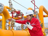 Sinopec descubre un yacimiento de shale gas en China