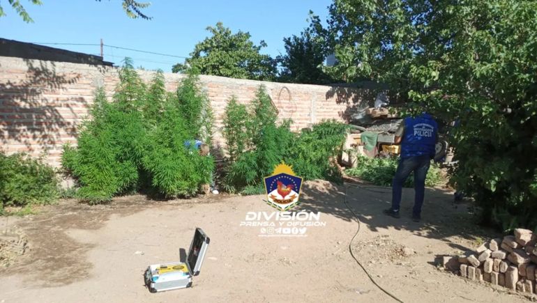 Allanaron dos casas por un robo y encontraron cocaína y marihuana