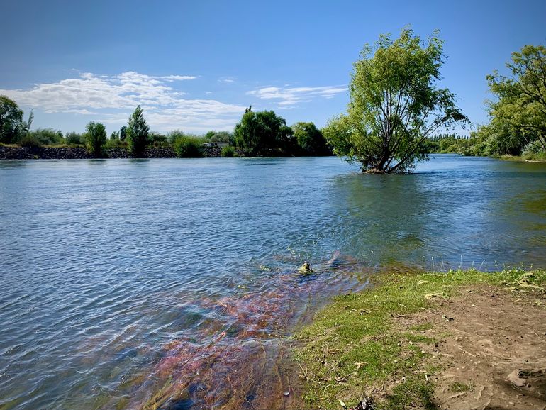 El río Neuquén es menos caudaloso que el Limay pero arrastre bordes arcillosos en las crecidas.