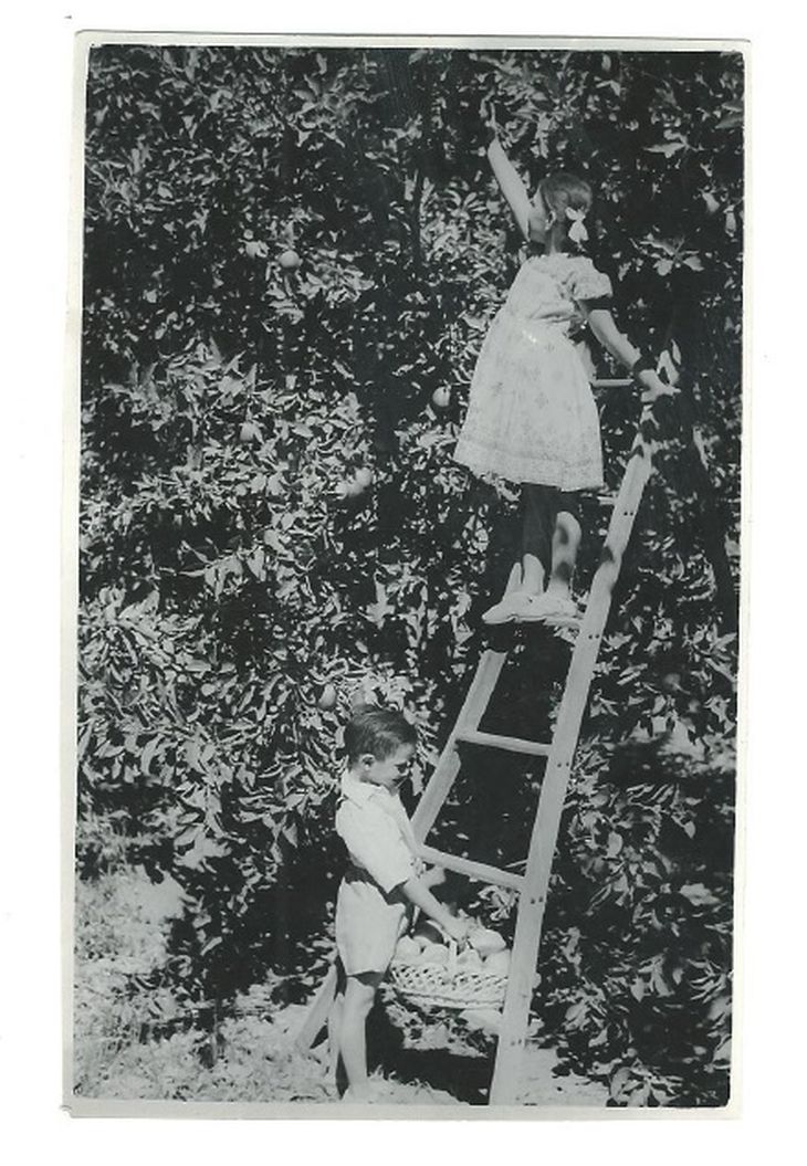  De pequeño juntando fruta con su hermana Martha en la chacra. Año 1947. Foto: gentileza familia Rosauer