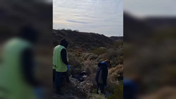 Personal de Limpieza Urbana encontró los consoladores y procedió a su remoción del lugar. 