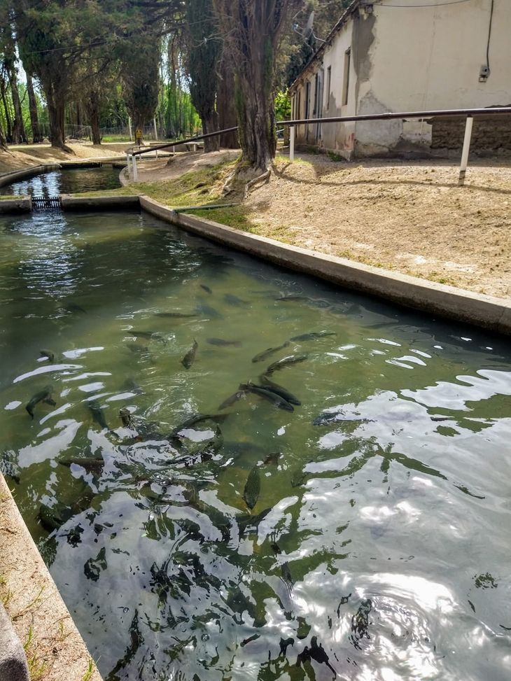 Se proyectó una Estación de Bombeo en lo que hoy conocemos como el predio de Piscicultura. Foto: gentileza Banco de Memoria de Plottier. Se proyectó una Estación de Bombeo en lo que hoy conocemos como el predio de Piscicultura. Foto: gentileza Banco de Memoria de Plottier.
