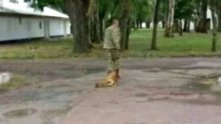 Hallan muerto a un militar acusado de asesinar a un perro callejero