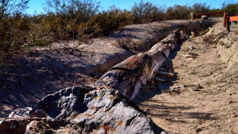 El bosque petrificado es uno de los tesoros naturales de Río Negro. | LM Neuquen El bosque petrificado es uno de los tesoros naturales de Río Negro.
