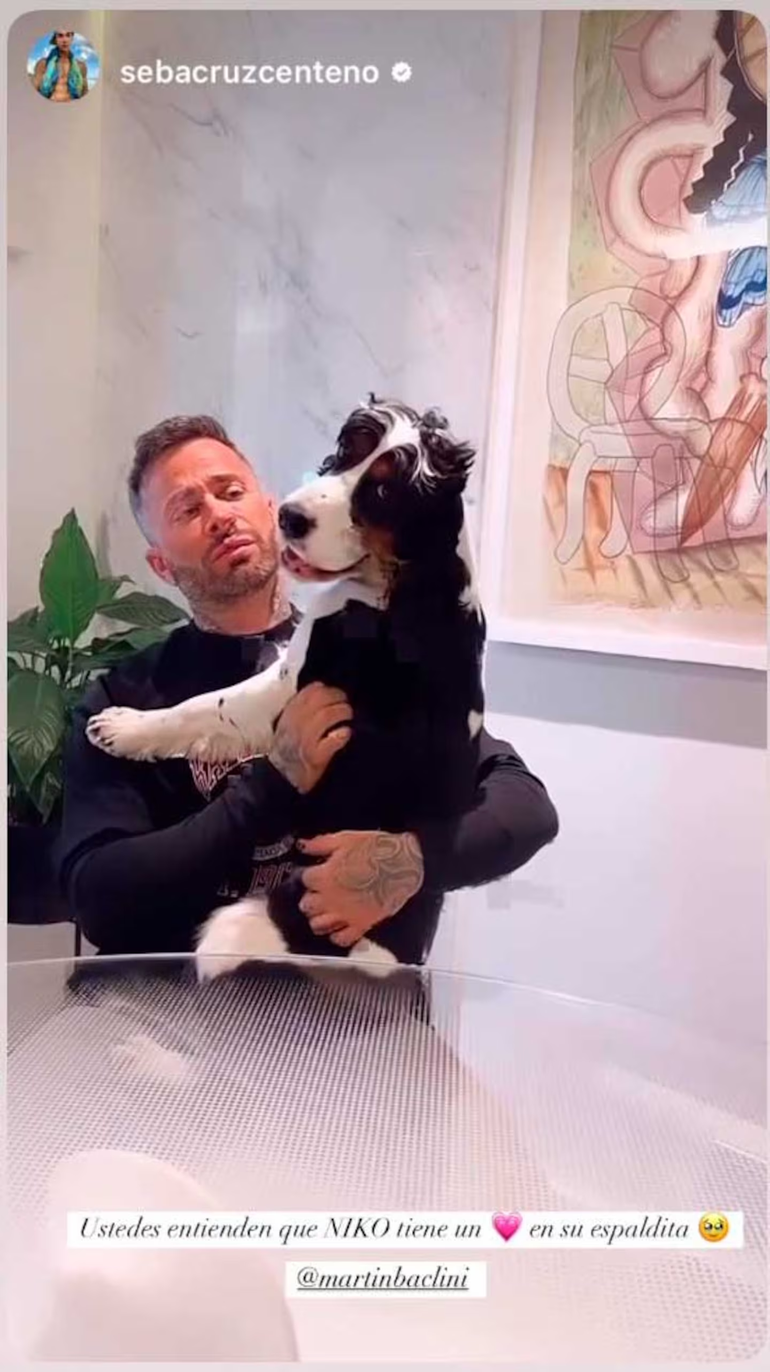 Martín Baclini, el ex de Cinthia Fernández, en la actualidad. Martín Baclini, el ex de Cinthia Fernández, en la actualidad.