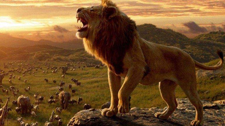 Mirá todo lo que podés hacer en el último finde de las vacaciones