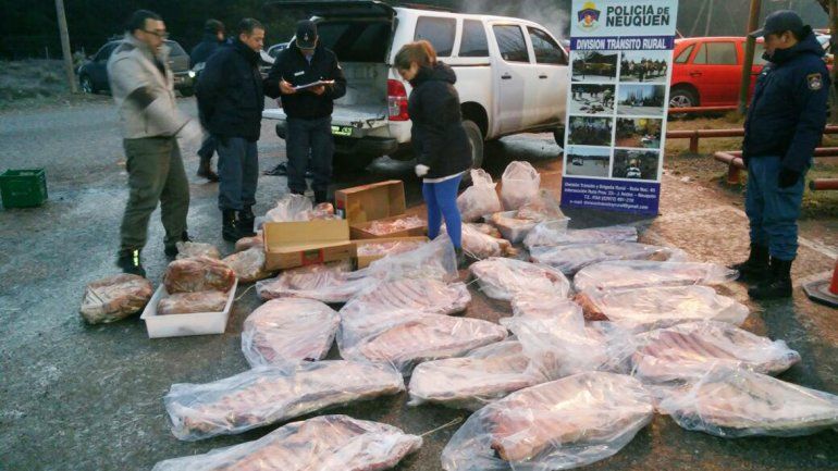 Los atraparon con 500 kilos de carne ilegal que llevaban a San Martín